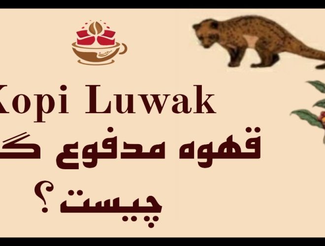 تصویر شاخص قهوه مدفوع